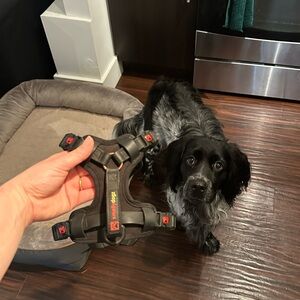 Smellydoz No-Pull Comfort Dog Harness